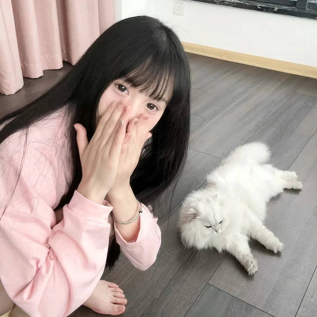 青春火花