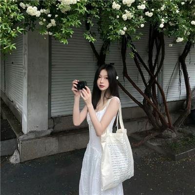 小小的叛国者