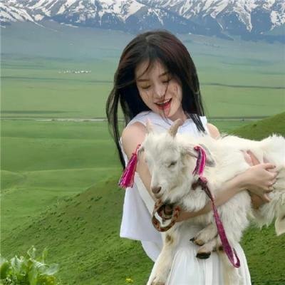 狄公灭鼠